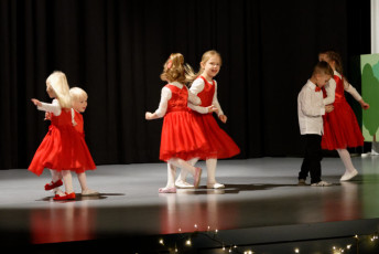 teamlumets-joulujuhla2018