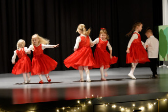 teamlumets-joulujuhla2018